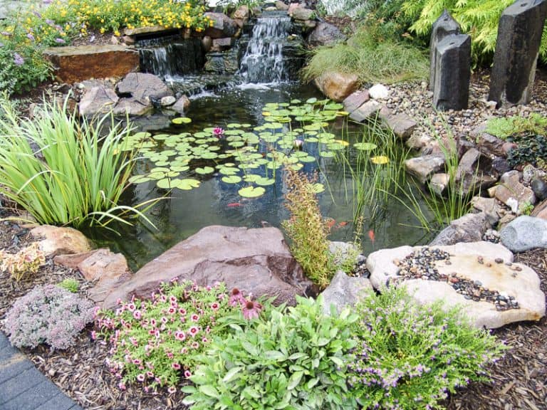 Aquascapes Water Features - King's Material